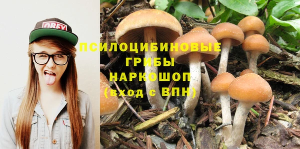 трава Абинск