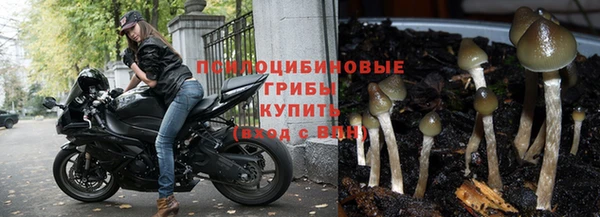 трава Абинск